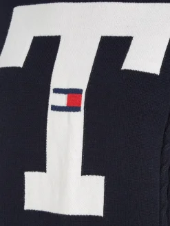 TJW LETTERMAN FLAG SWEATER desert sky