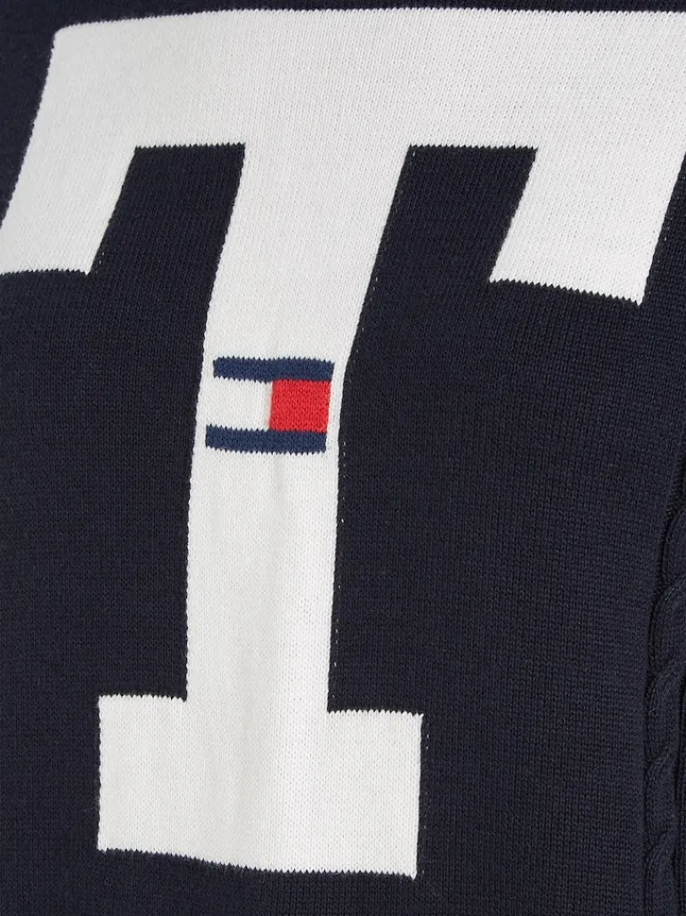 TJW LETTERMAN FLAG SWEATER desert sky