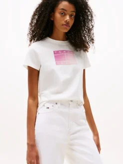 TJW REG GRADIENT FLAG SS ecru