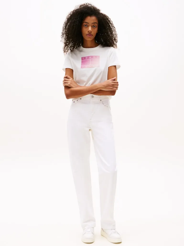 TJW REG GRADIENT FLAG SS ecru