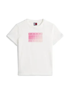 TJW REG GRADIENT FLAG SS ecru