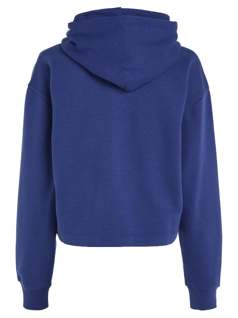 TJW RLX ESSENTIAL LOGO 2 HOODIE pilot blue