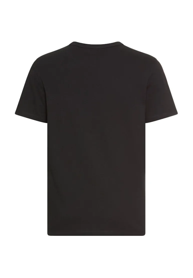 T-Shirt aus reiner Baumwolle asphalt